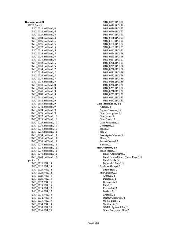 Flatley Report File Index — first authorized forensic copy of the memory card