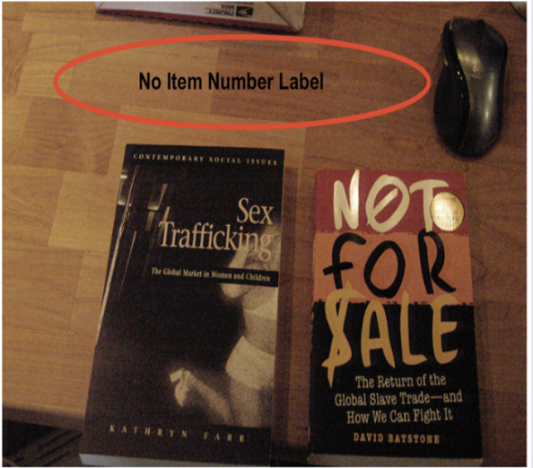 FBI search photo — two books about sex trafficking placed on a desk, no item-number label visible (IMAGE TO BE ADDED)